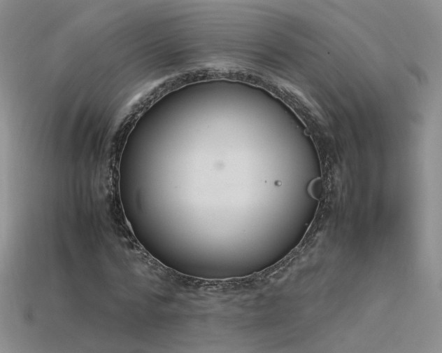 X0000115780776200911131246