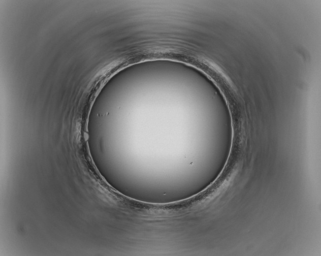 X0000115780777200911131246