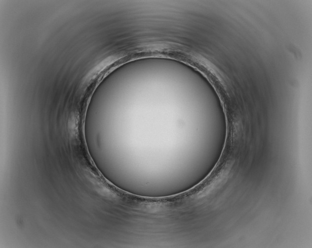 X0000115780778200911131246
