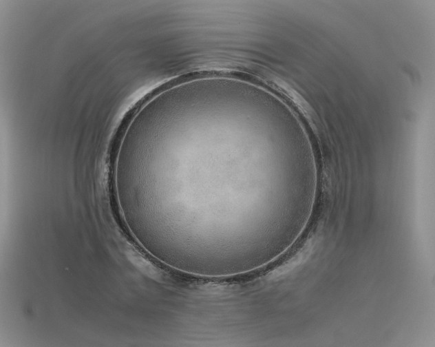 X0000115780779200911131246