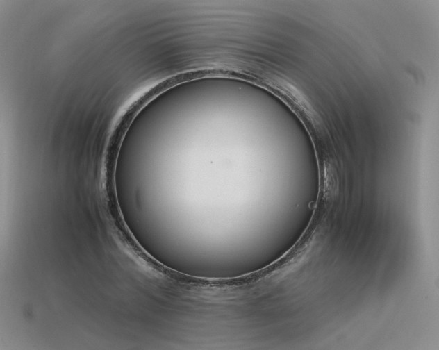 X0000115780780200911131246