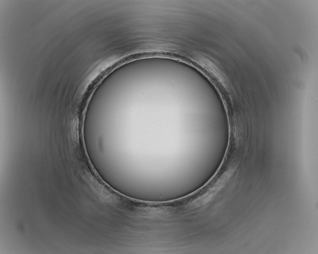 X0000115780781200911131246