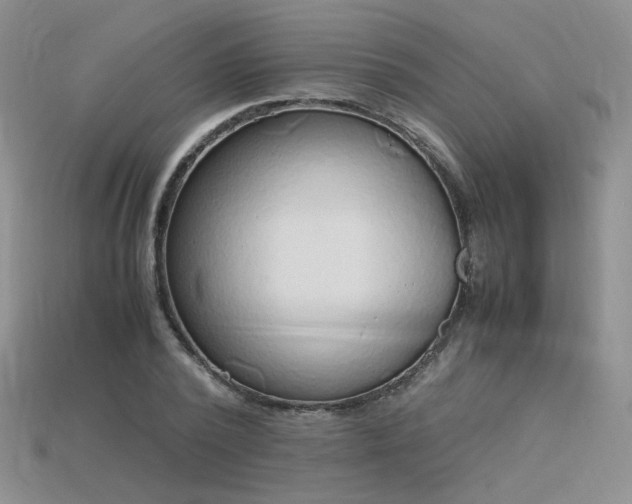 X0000115780784200911131246
