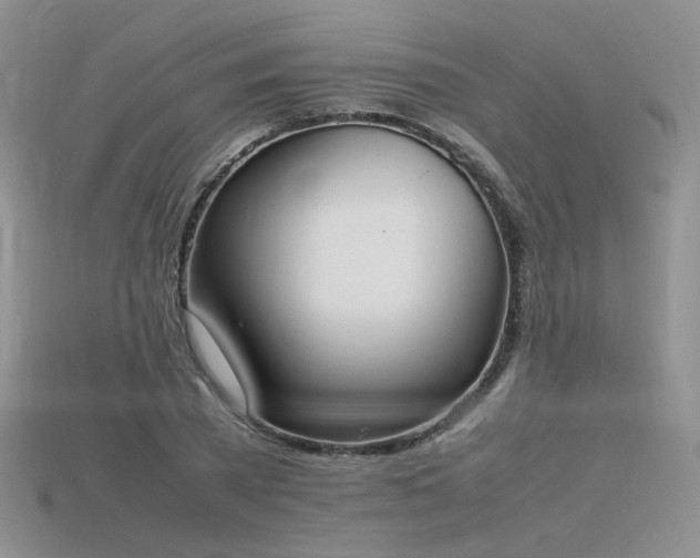 X0000115780785200911131246