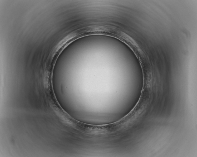 X0000115780786200911131246
