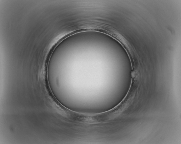 X0000115780787200911131246