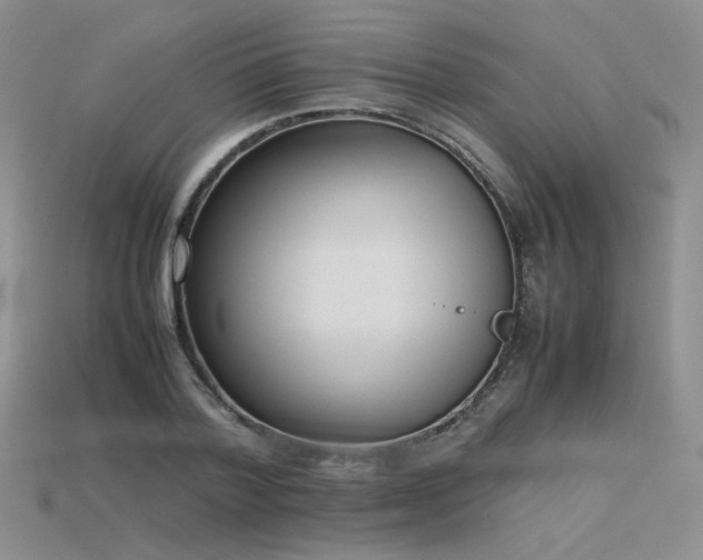 X0000115780788200911131246