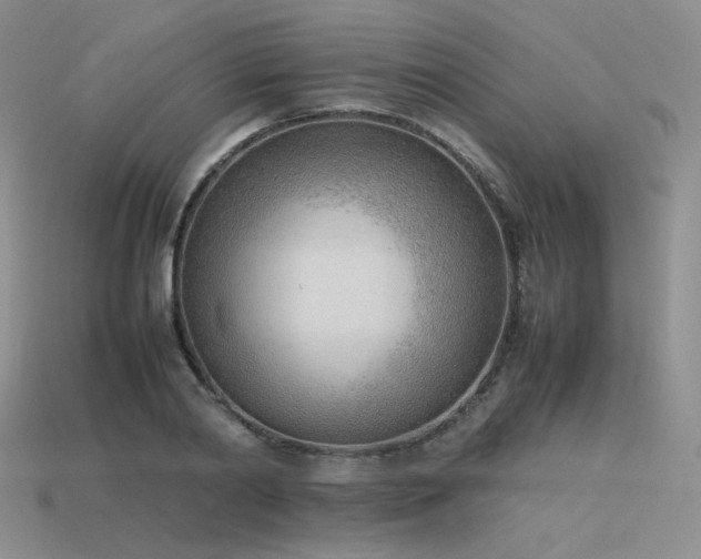 X0000115780790200911131246