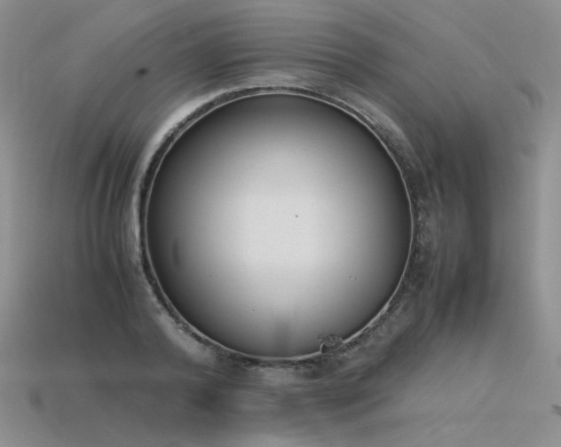 X0000115780792200911131246