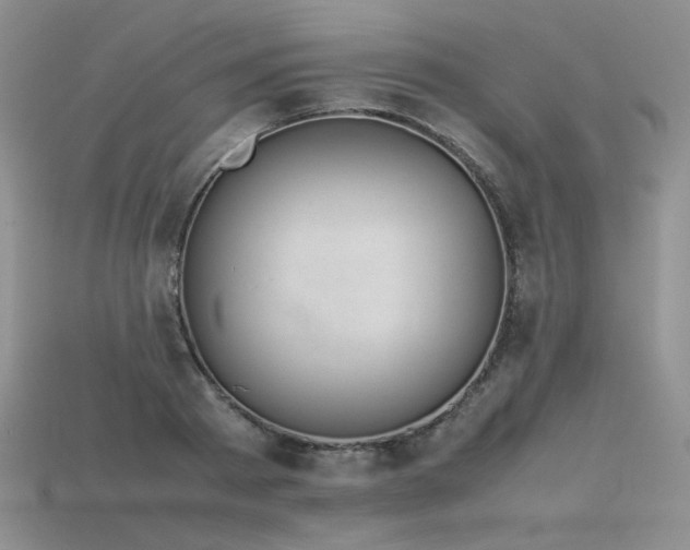 X0000115780793200911131246