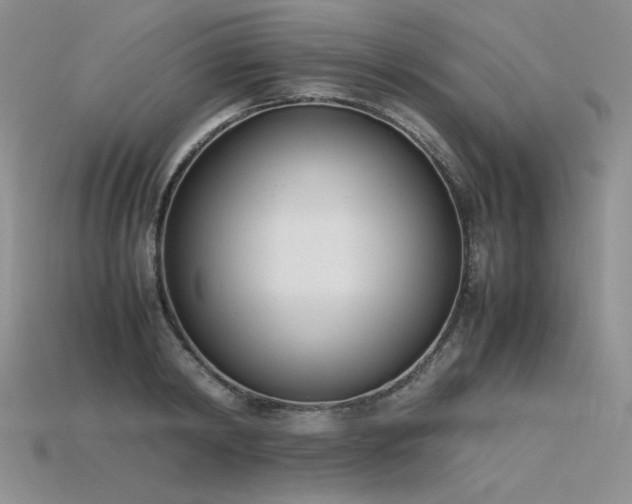 X0000115780798200911131246