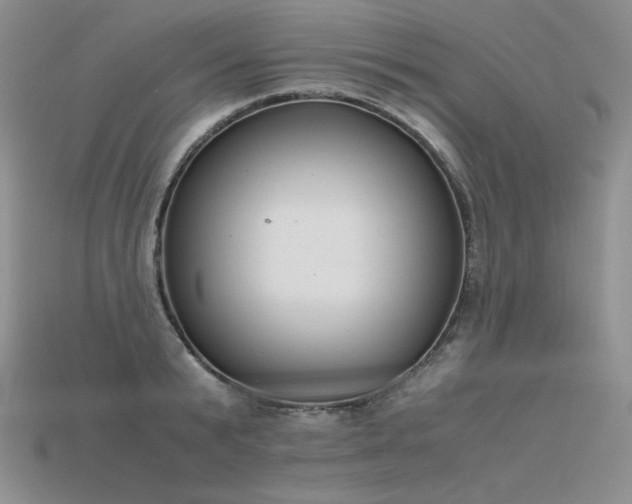X0000115780799200911131246