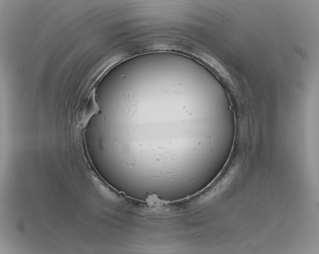 X0000115780801200911131246