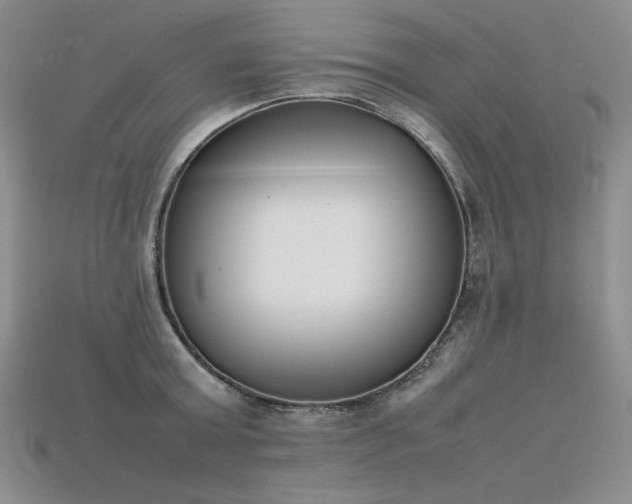 X0000115780803200911131246
