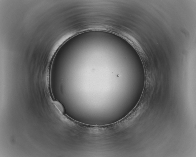 X0000115780804200911131246
