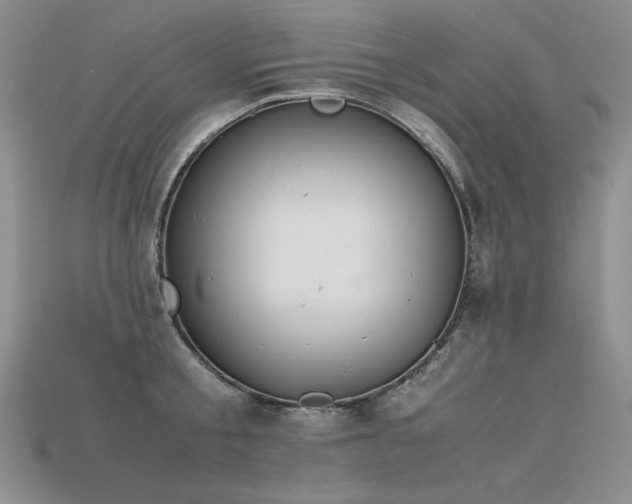 X0000115780805200911131246
