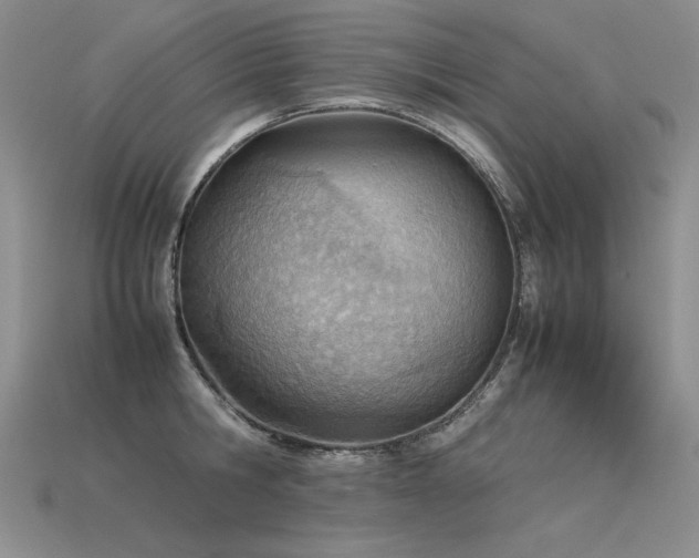 X0000115780806200911131246
