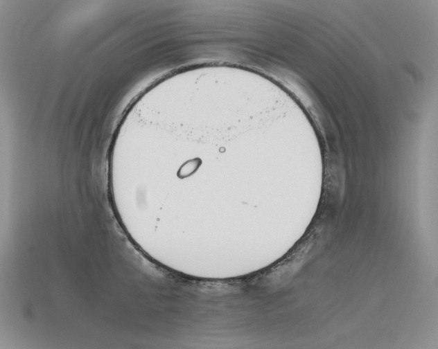 X0000115780807200911131246