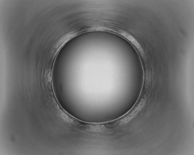 X0000115780809200911131246