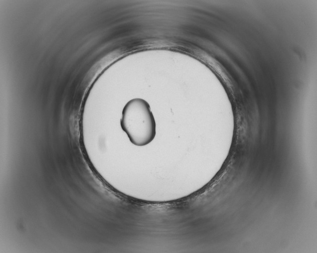 X0000115780810200911131246