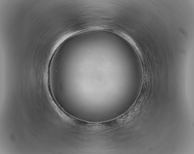 X0000115780811200911131246