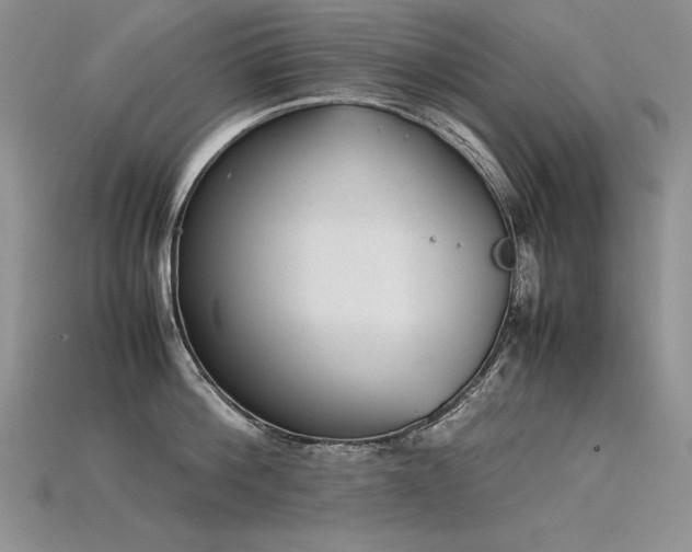 X0000115780812200911131246