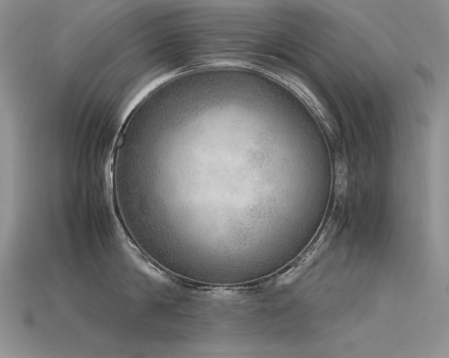 X0000115780814200911131246