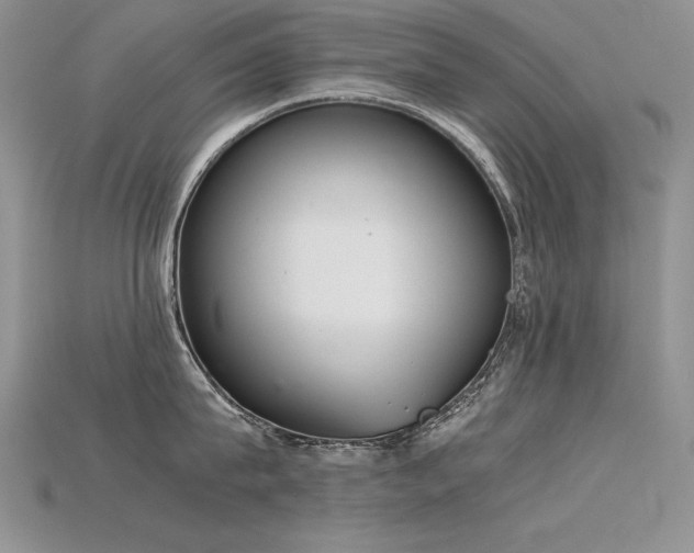 X0000115780815200911131246