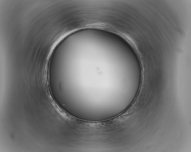 X0000115780816200911131246