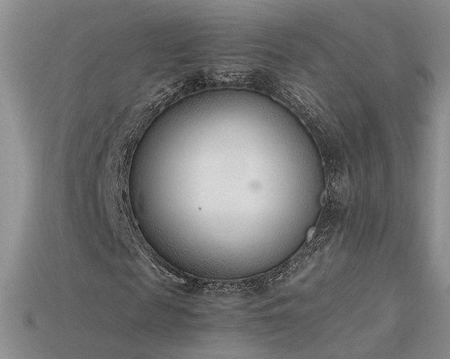 X0000115780817200911131245