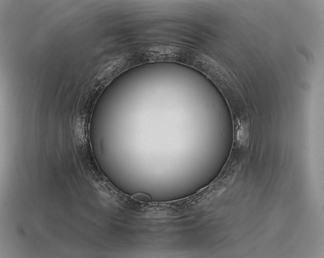 X0000115780819200911131245