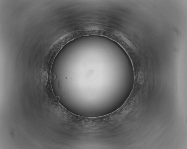 X0000115780821200911131245