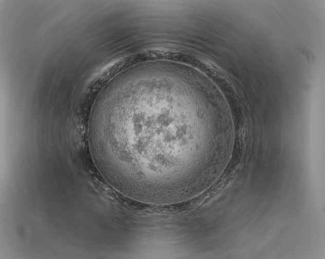 X0000115780822200911131245