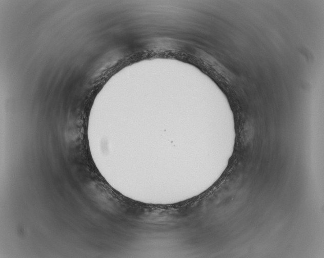 X0000115780824200911131245