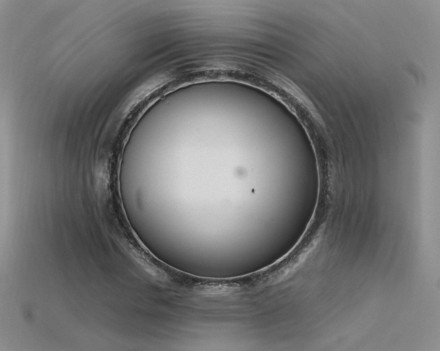 X0000115780826200911131245