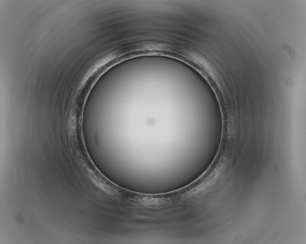 X0000115780827200911131245