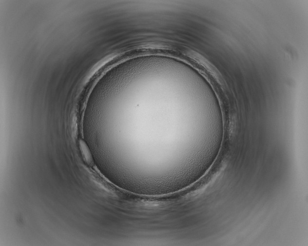 X0000115780829200911131245