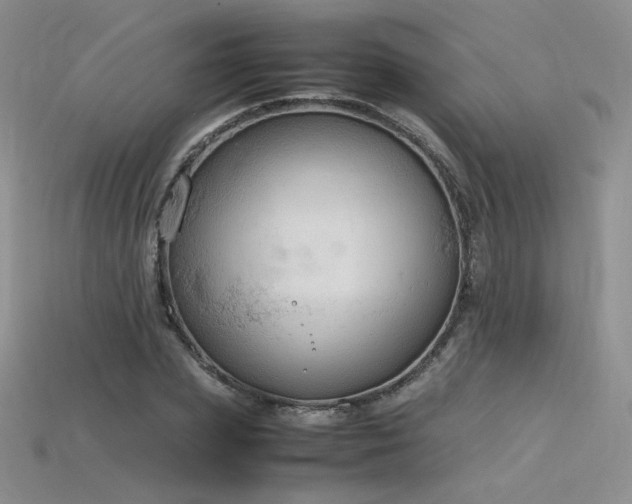 X0000115780831200911131245