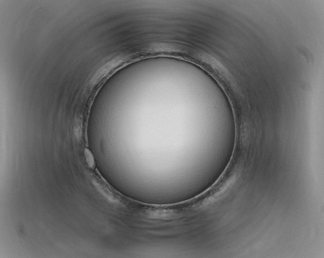 X0000115780833200911131245