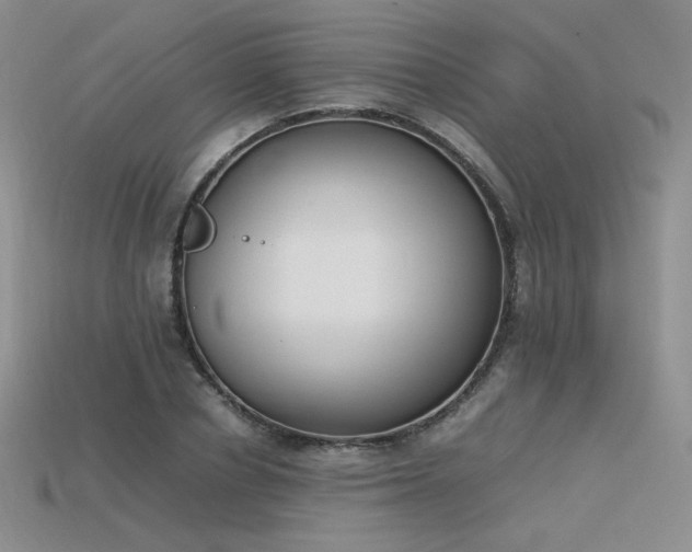 X0000115780834200911131245