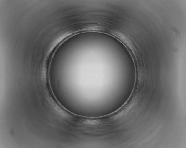 X0000115780835200911131245