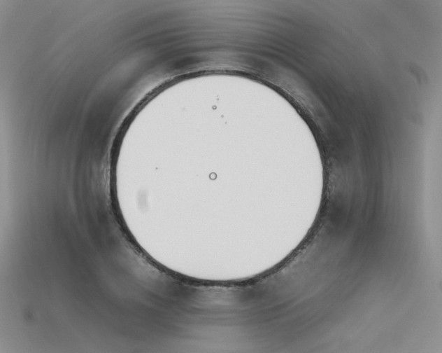 X0000115780836200911131245