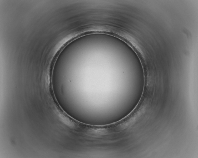 X0000115780837200911131245