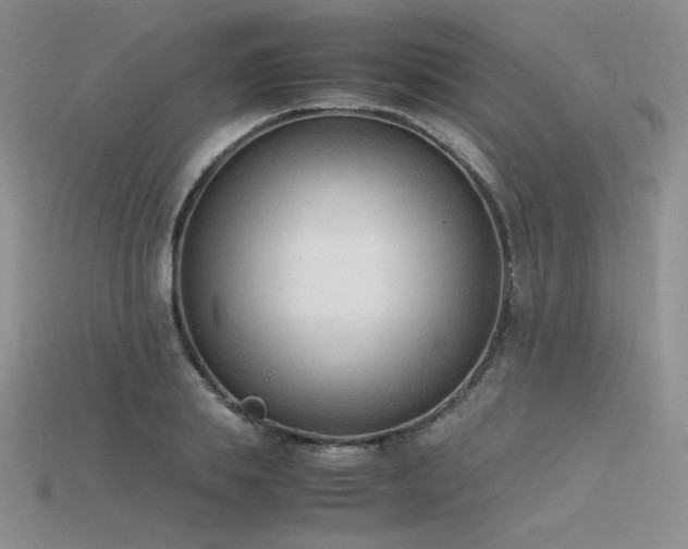 X0000115780839200911131245