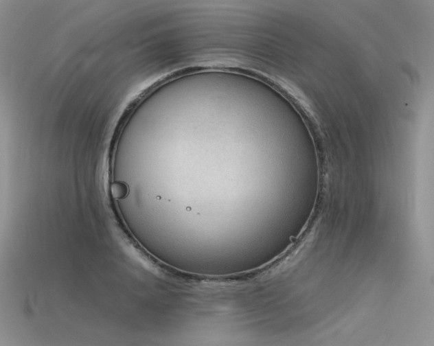 X0000115780840200911131246