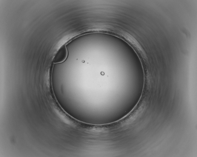 X0000115780842200911131246