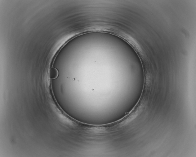 X0000115780844200911131246