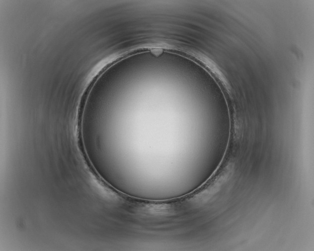 X0000115780845200911131246