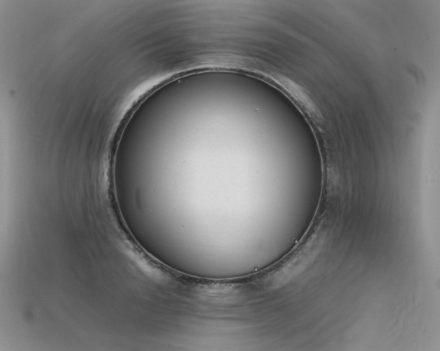 X0000115780846200911131246