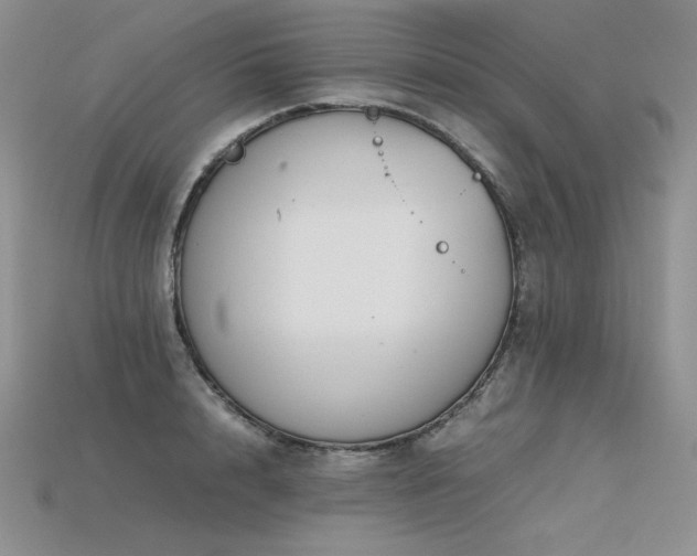 X0000115780848200911131246